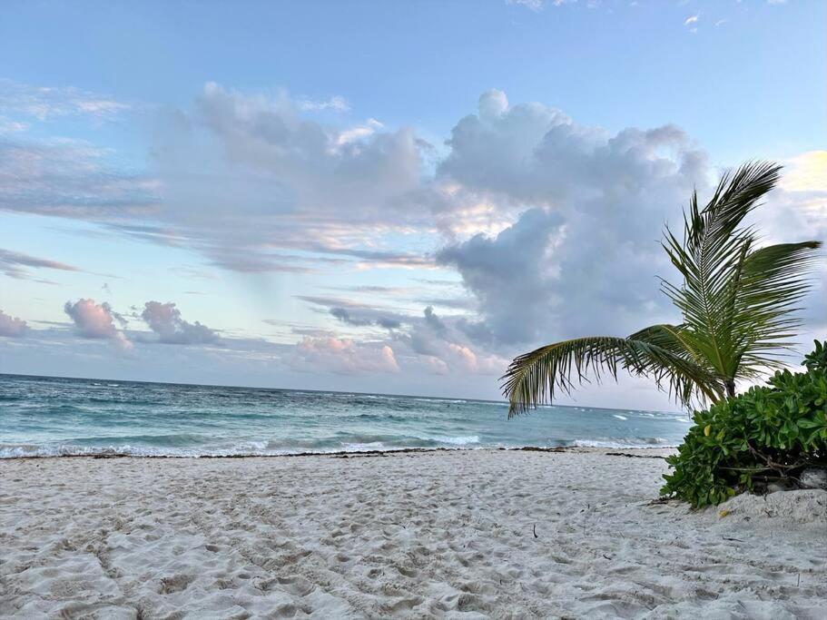 3 Bedroom Luxury Condo Next To Beach & Pools, Ac And Internet Akumal Luaran gambar